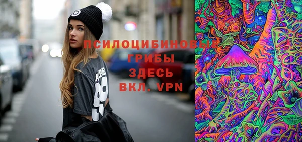 гидра Алексеевка