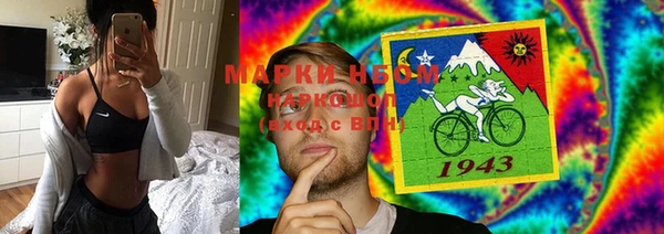 гидра Алексеевка