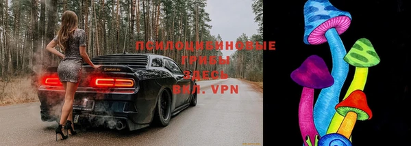 гидра Алексеевка