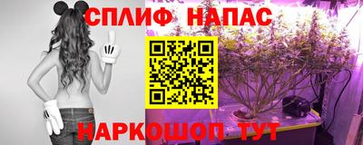 прущий лед Будённовск