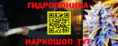 прущий лед Будённовск
