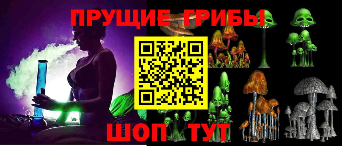 Дмитров  Псилоцибиновые грибы Psilocybine cubensis  Вход с VPN 