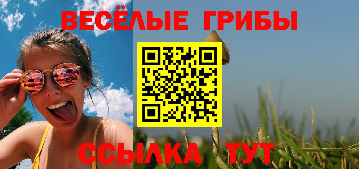 Псилоцибиновые грибы Дмитров
