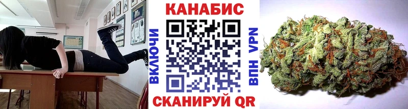 Бошки марихуана сатива  это телеграм  Дмитров  наркошоп 